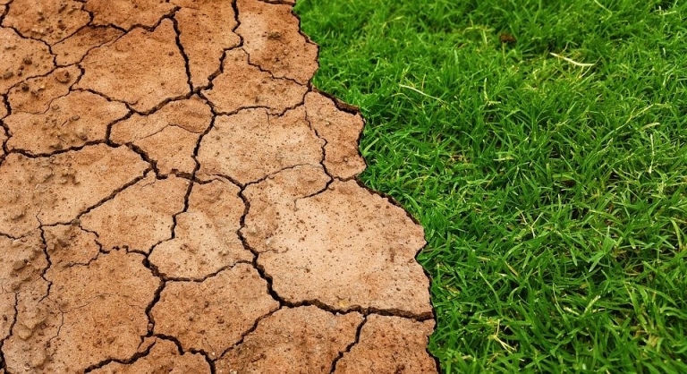 Vestischer Klimapakt folgt langjährigen Grünen Forderungen