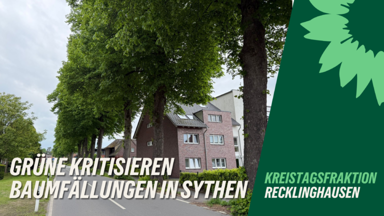Grüne stellen sich gegen geplante Baumfällungen an der Thiestraße in Sythen