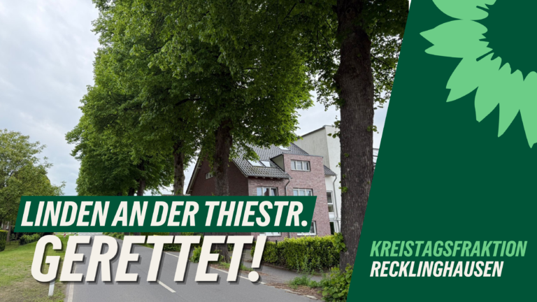 Grüne begrüßen Umplanung des Kreises an der Thiestraße: Bäume können weitgehend erhalten bleiben