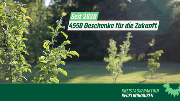 Kleine Bäume, große Wirkung: Das Vestische Geburtsbäumchen geht in die siebte Runde