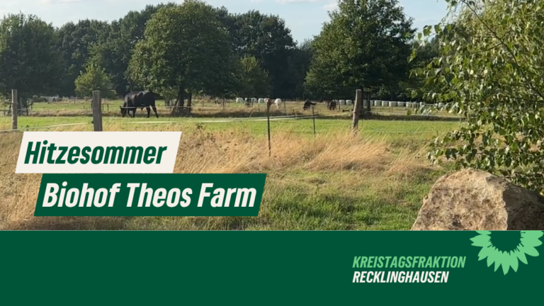 Hitzesommer – in der Bio-Landwirtschaft